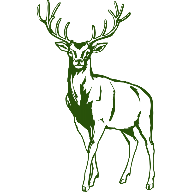 Cerf