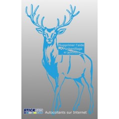 Cerf