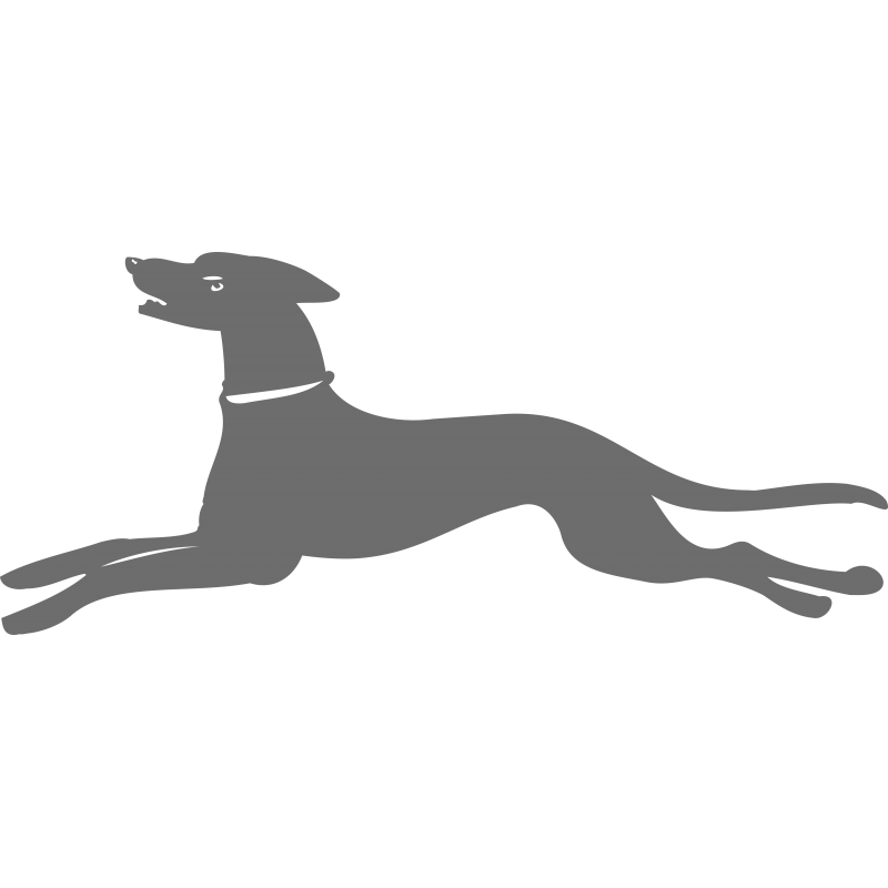 chien de chasse