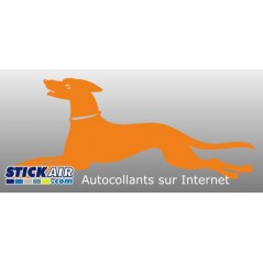 chien de chasse