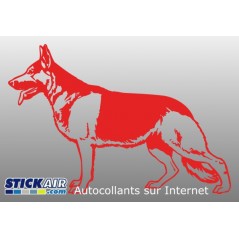 Berger Allemand