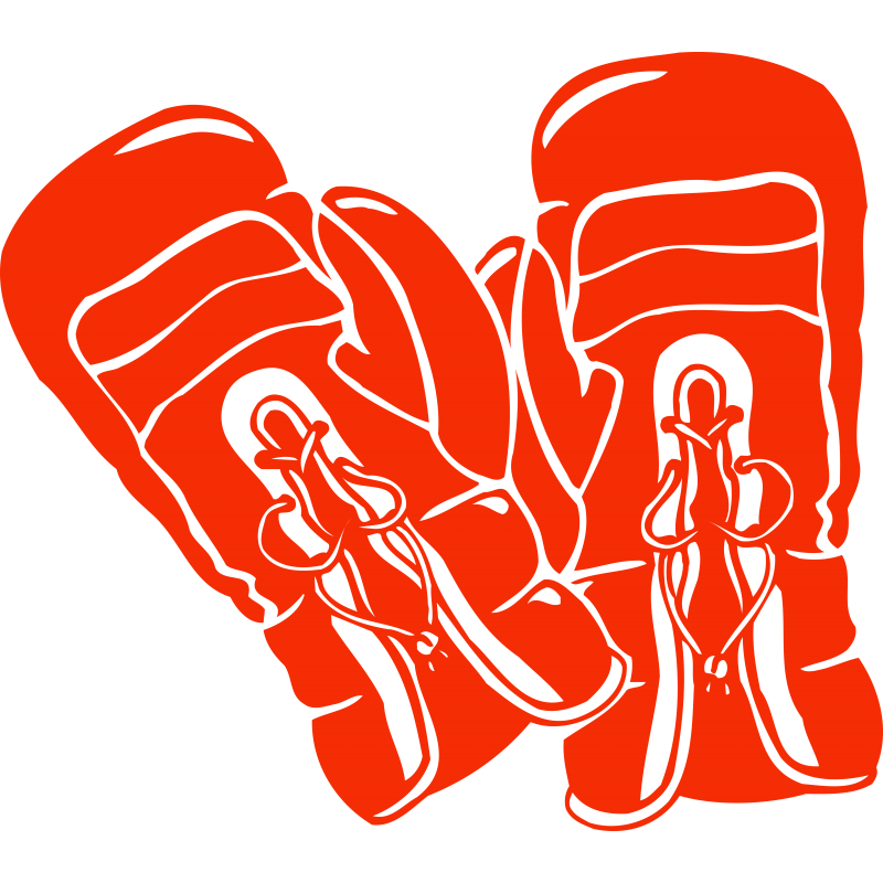 Gants de Boxe