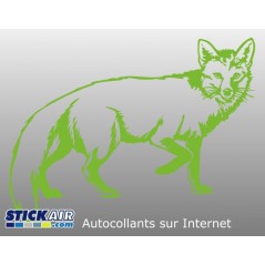 Renard