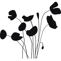 Coquelicots  1