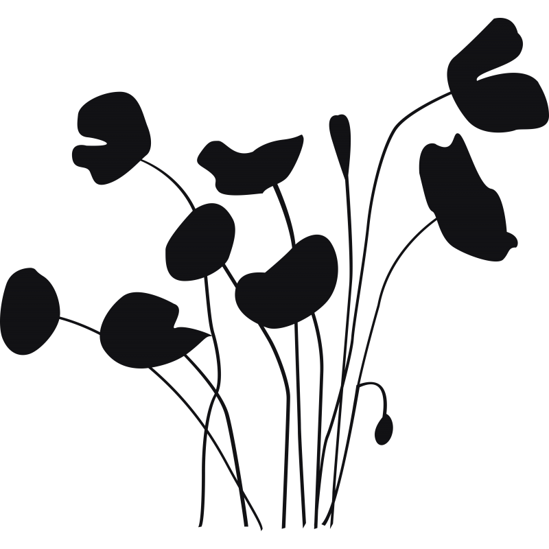Coquelicots  1