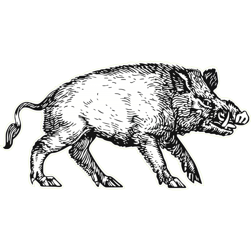 Sanglier