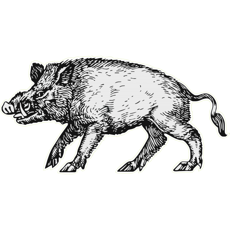 Sanglier