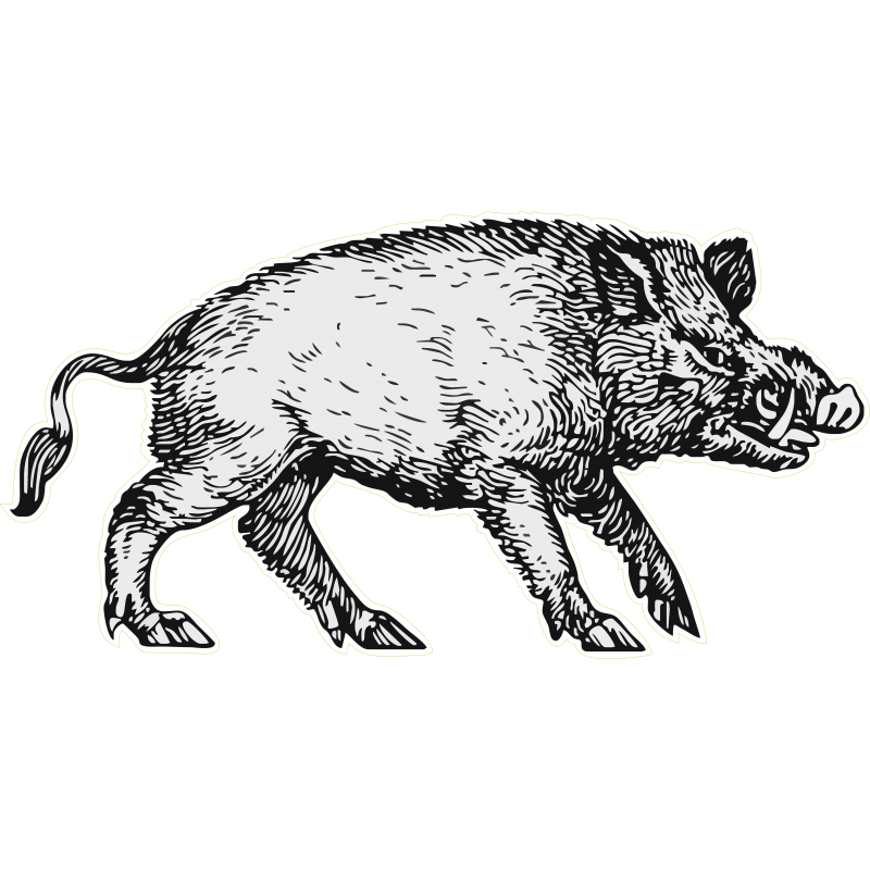 Sanglier