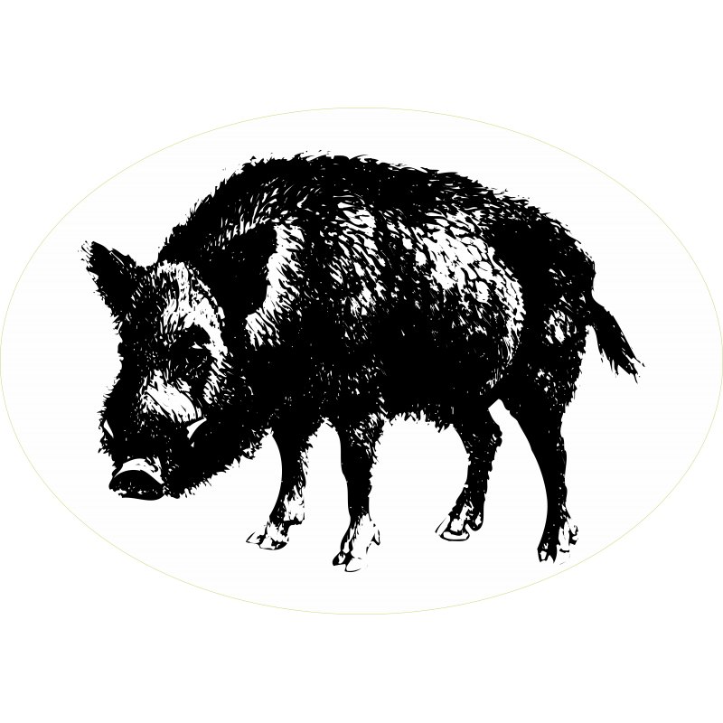 Sanglier