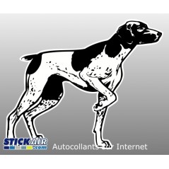 Braque noir et blanc