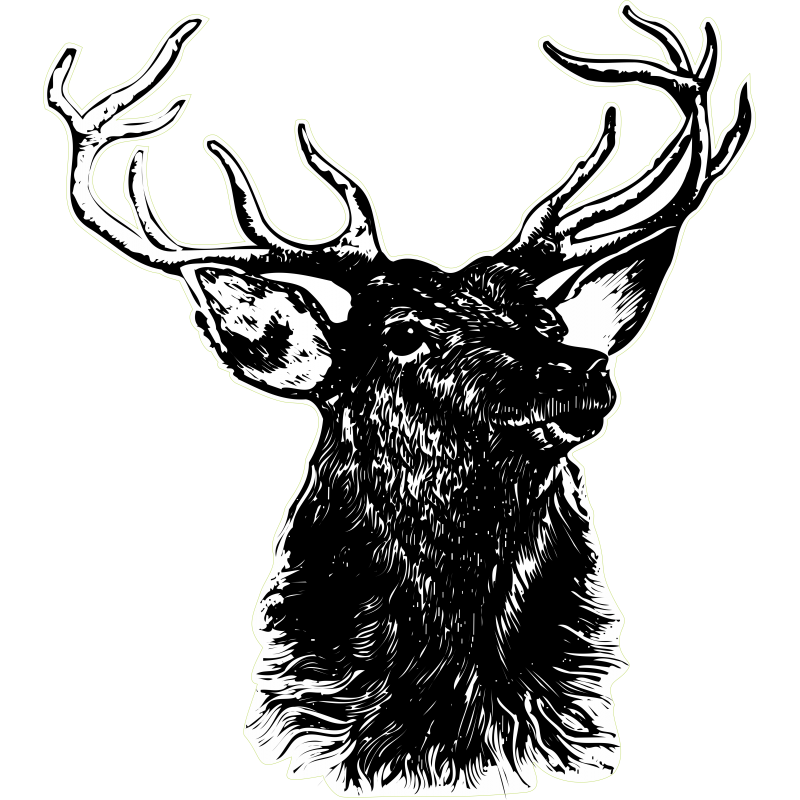 Cerf noir