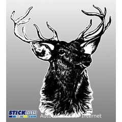Cerf noir