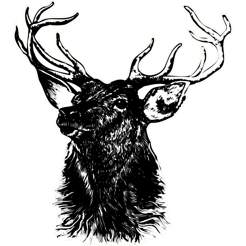Cerf noir à gauche