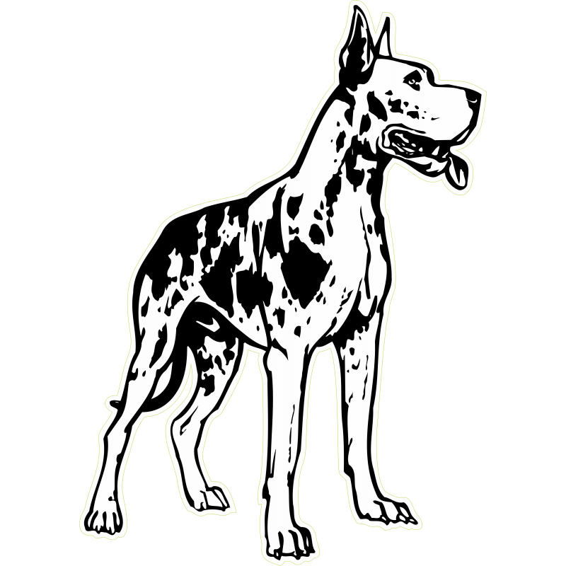 Dogue Allemand