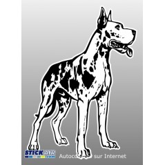 Dogue Allemand