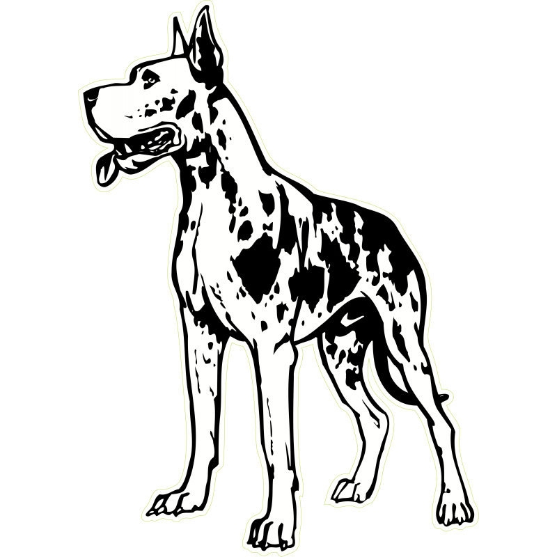 Dogue Allemand à gauche