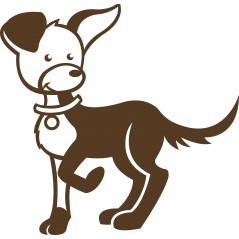 235 Chien