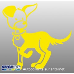 235 Chien