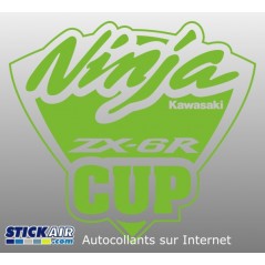 Kawasaki Ninja Cup