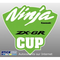 Kawasaki Ninja Cup