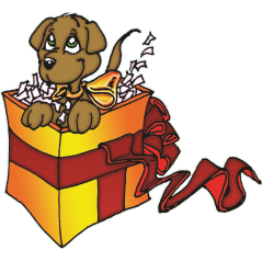 Chiot Surprise