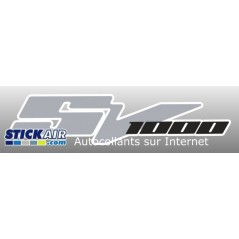 Suzuki SV 1000