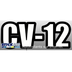 CV 12