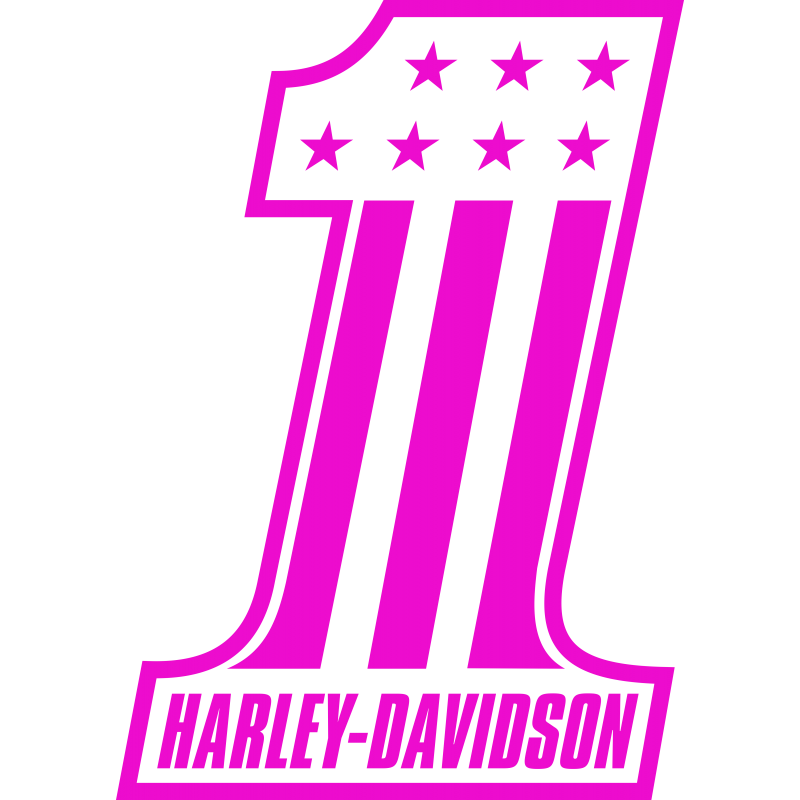 Harley Davidson One