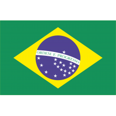 Drapeau Brésil