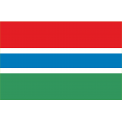 Drapeau Gambi