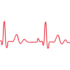 Rythme Cardiaque