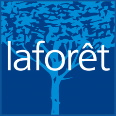 Logo sans ombre