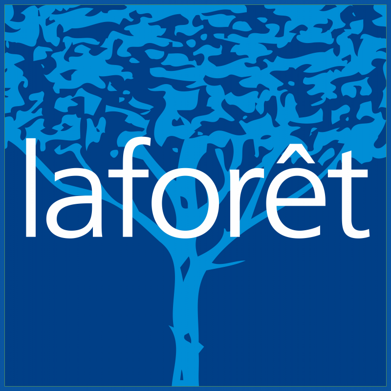 Logo sans ombre