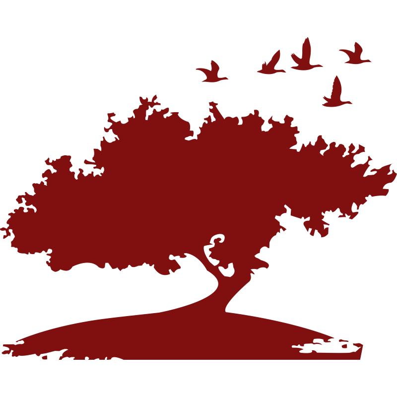 262 Arbre 2 262 Arbre 2