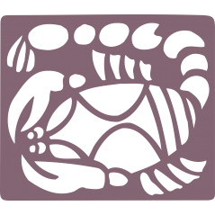 Zodiaque Scorpion