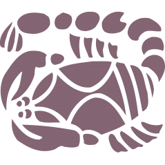 Zodiaque Scorpion