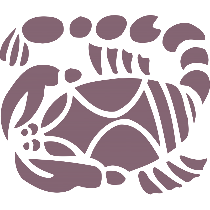 Zodiaque Scorpion