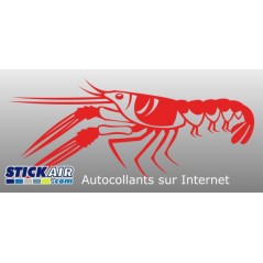 263 Crevette
