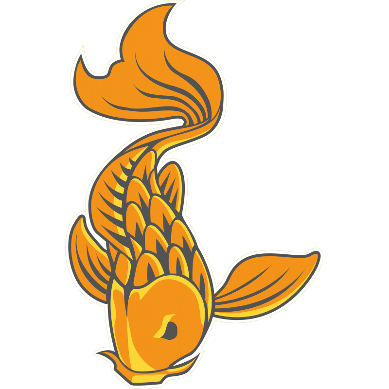 Poisson voile de chine gauche