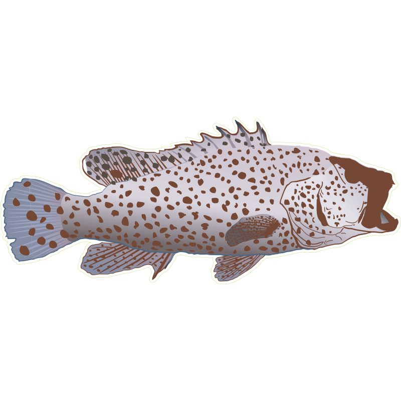 Poisson peche