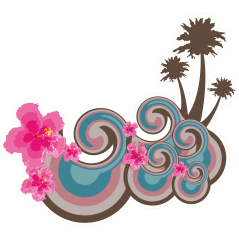Hawaii Ile