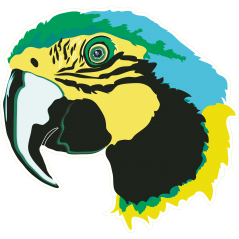 Hawaii perroquet