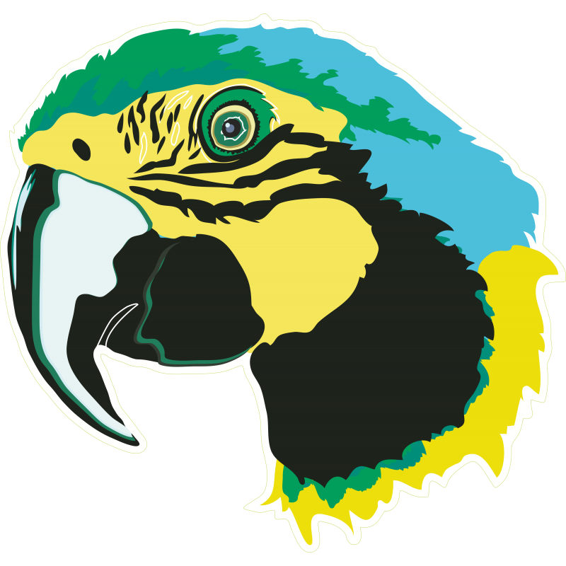 Hawaii perroquet