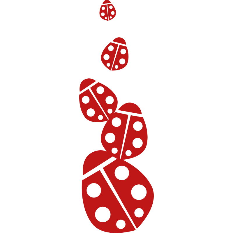 Coccinelles Coccinelles
