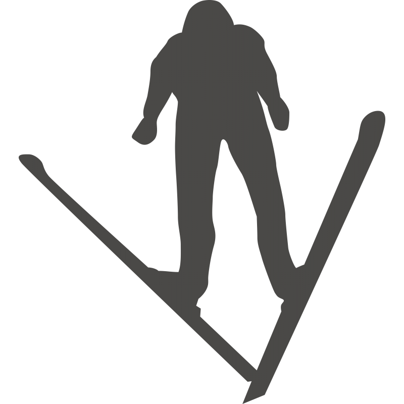 Skieur
