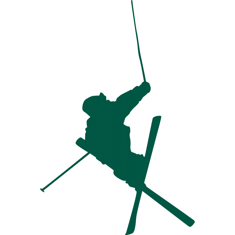 Skieur