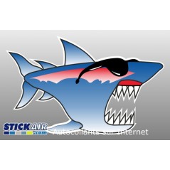 Requin a lunette