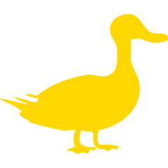 Canard