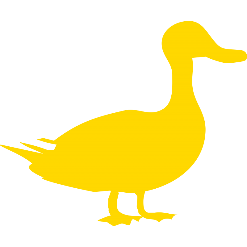 Canard