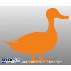 Canard